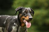 BEAUCERON 805